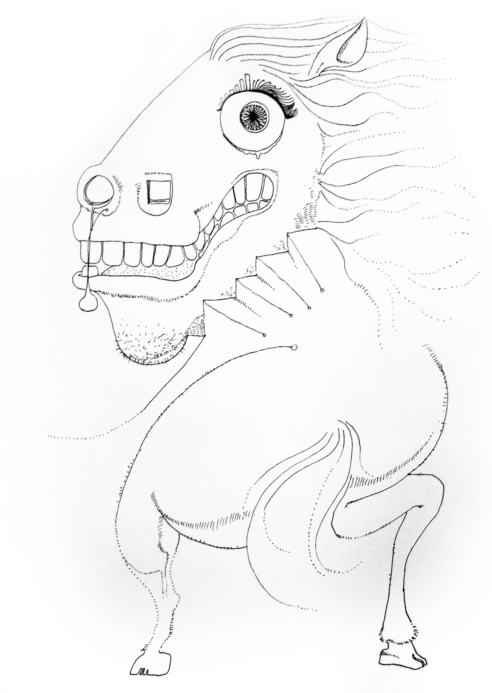 Horse